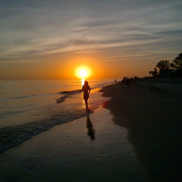 Meet your Posher, Mimmi - Picture 1 of 1